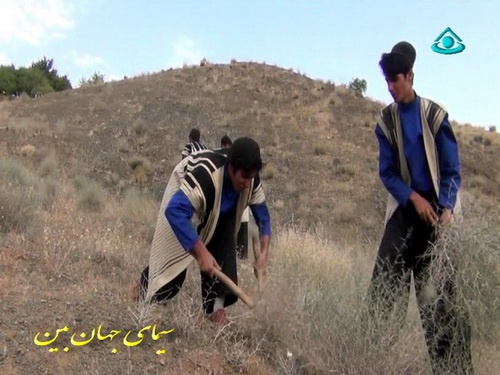 مسابقه بوته کنی در سیمای جهان بین!