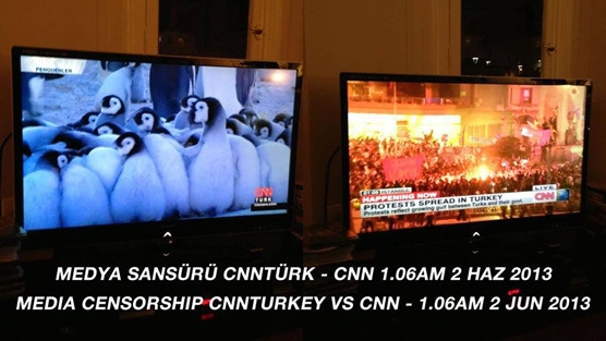 Cnn Türkü Penguenlerle Protesto