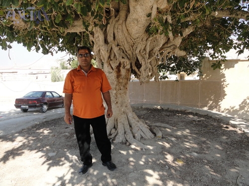 ناصر احمدیان در کنار درختی که نجاتش داد ...