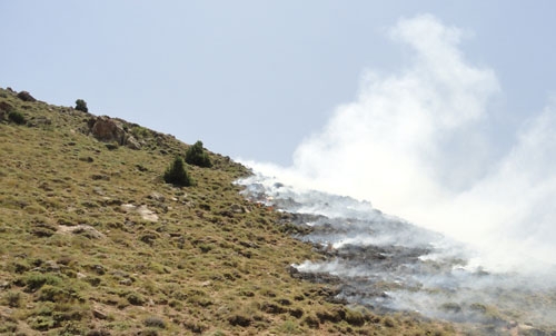 آتش سوزی در رینه