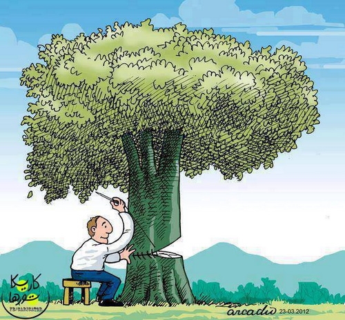 ما باید نگاه مان به درخت اینگونه زندگی ساز باشد