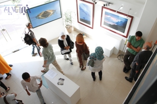 ناصر تقوایی در نمایشگاه عکس