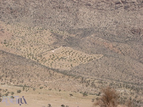 محوطه پاکتراشی شده برای کاشت درخت انجیر در مرکز عکس مشخص است - کوهستان تودج - 29 مرداد 1392