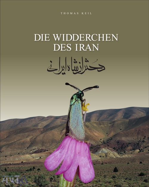 روی جلد کتاب دختران شاه ایرانی