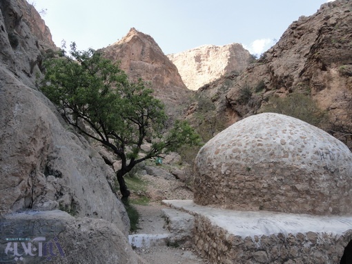 زباله‌ی آویزان بر درخت بادام در بین مسجد سنگی و گنبد چهار طاقی ایج