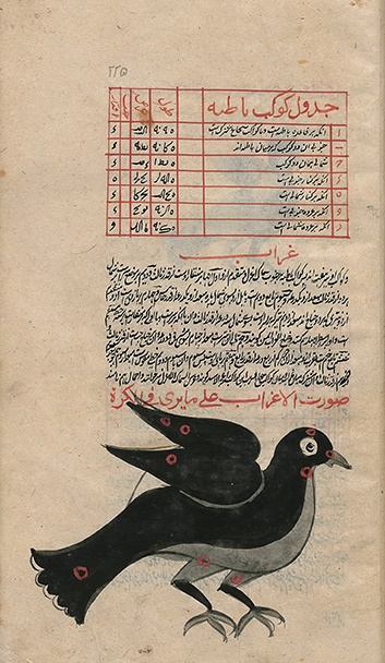 رسول جعفریان