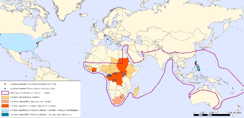 بیماری ابولا در افریقا