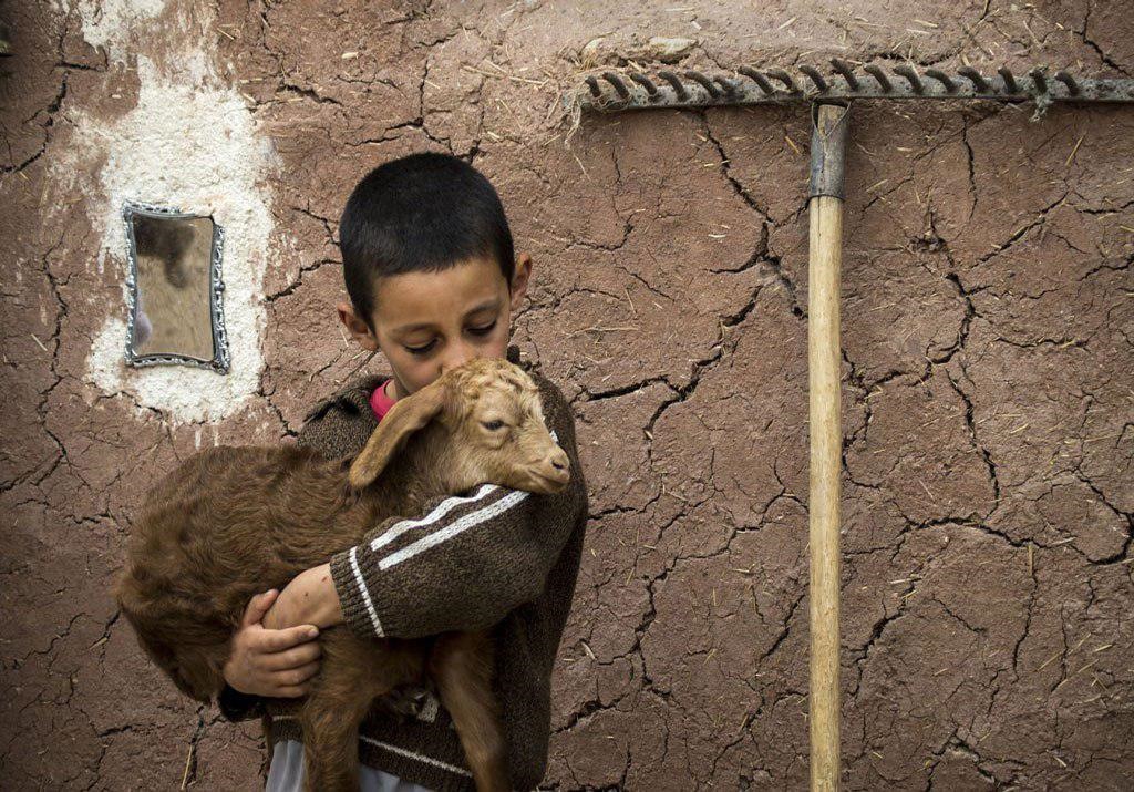 عکاس ایرانی با این عکس برنده جهانی شد/عکس