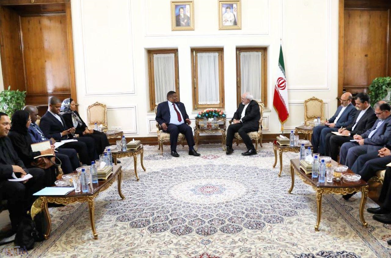 عکس | دیدار وزیر امنیت داخلی آفریقای‌جنوبی با ظریف