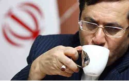 معاون وزیر امورخارجه : حتی یک دلار برای دفاع از حقوق شهروندان ایرانی در خارج از کشور نداریم