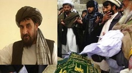 طالبان یک فرماندار هلمند را کشت