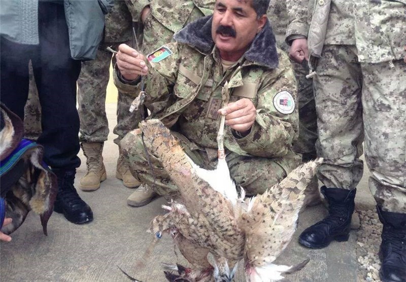 پرنده انتحاری در افغانستان هدف پلیس قرار گرفت