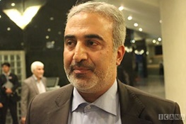 ابراهیم نکو : فراکسیون حامیان دولت تشکیل می شود/ کم تحرکی دولتی ها عامل رای نیاوردن وزیر علوم بود