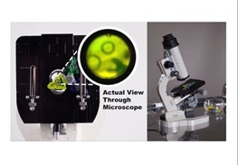 ساخت کوچکترین میکروسکوپ جهان در اندازه یک سوزن