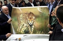 رونمایی از نماد یوزپلنگ ایرانی در جام‌جهانی