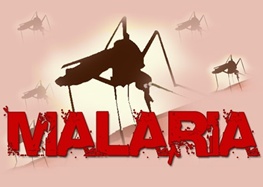 مالاریا؛ بیماری ای که هنوز در ایران قربانی می گیرد