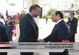 مصافحه معاون ظریف با رئیس جمهور جدید مصر