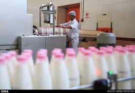 حمایت جدی از افزایش سرانه مصرف شیر در کشور/ انتقادات دامپروران از وزیر بهداشت