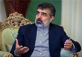 کمالوندی: انتظار داریم آژانس در آذرماه یک بار برای همیشه پرونده هسته ای ایران را ببندد