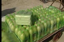 رئیس سازمان تعزیرات: حتی یک قطره آبلیمو طبیعی در بازرسی از 17 کارخانه آبلیموسازی یافت نشد