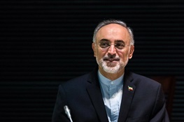 صالحی: اجرای تعهدات ایران حداکثر ۲ ماه طول می کشد/لاریجانی در مجلس سنگ تمام گذاشت