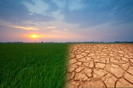 چرا 2015 احتمالا گرمترین سال زمین است؟/ سالی با بارندگی‌ها و خشکسالی‌های جدید