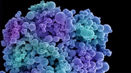 نارنجک میکروسکوپی؛روش جدید هدف قرار دادن سلول‌های سرطانی