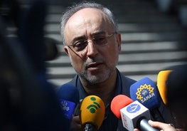 صالحی: رآکتور اراک، آب سنگین باقی می‌ماند/ منطق ایران با موافقت طرف مقابل مواجه شد