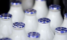 علی‌رغم هشدار سازمان حمایت؛ فقط یک کارخانه لبنی قیمت شیر بطری را کاهش داد!