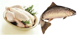 ردپای سرطان در ماهی قزل‌آلا و فلزات سنگین در مرغ
