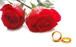 آنچه باید در مورد نامزدی بدانیم: وعده قبل از عقد نکاح، تعهد ایجاد نمی کند