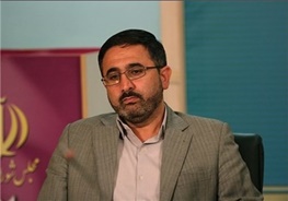 احمدی لاشکی: رفتن فانی راه حل مشکل نیست