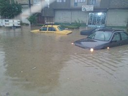 سیل در کردستان هنوز جاری است/ تصویری از خودرو ها که جلوی چشم نمایشگاه داران اتومبیل غرق شدند
