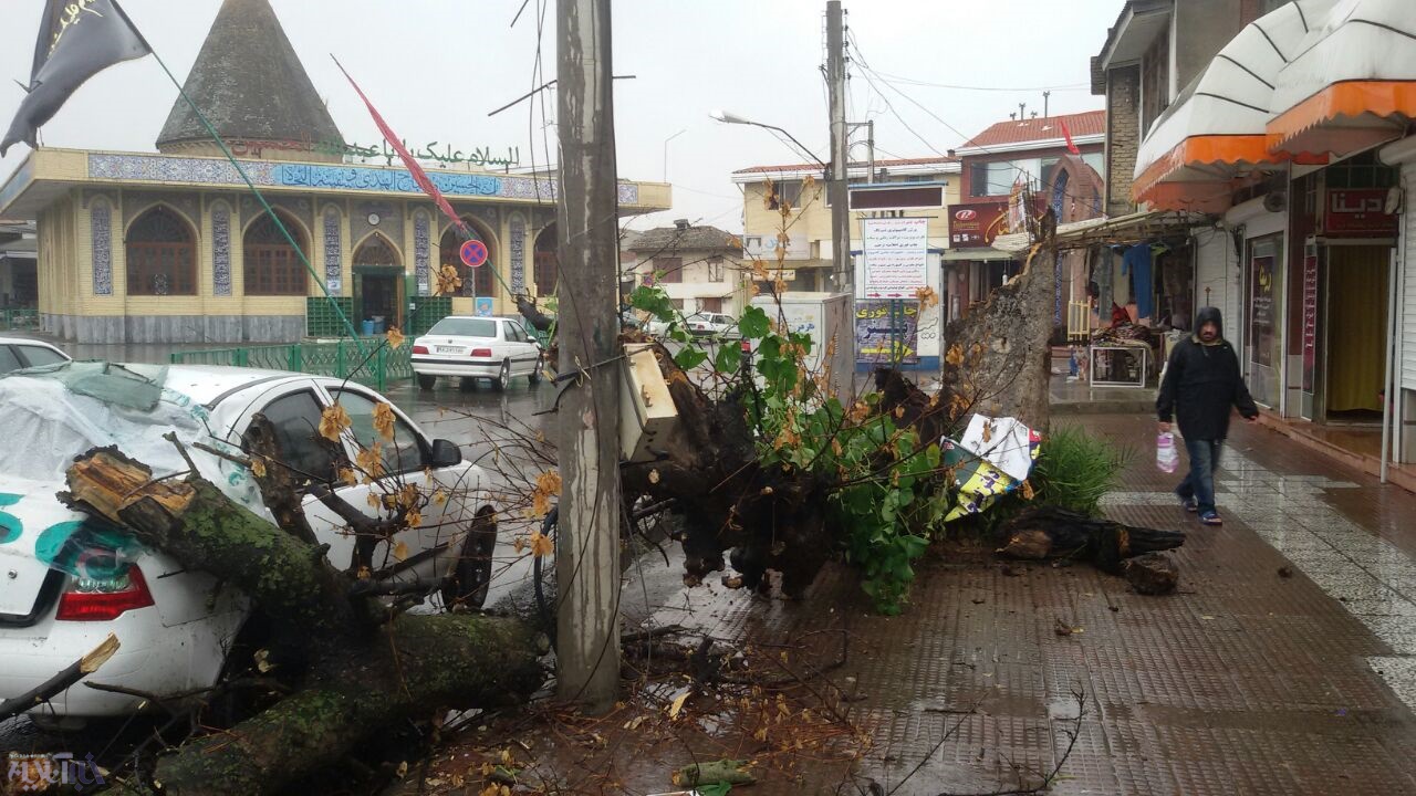 خسارت‌های طوفان؛ سقوط درختان تنومند روی خودروها در ساری