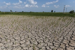 آب نیست؛ خشکسالی شدید در ۱۷ استان در ۳ ماه گذشته