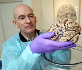 «اشتباه تایپی» که باعث بزرگ شدن مغز انسان شد!/نتایج تحقیقات جدید