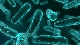 باکتری‌ها می‌توانند ببینند/یافته عجیب محققان