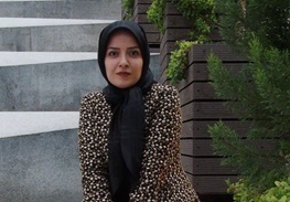 دزدی در روز روشن از جهانگردان ایرانی