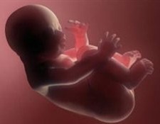 25 درصد بارداری‌ها به سقط جنین می‌رسد/ قوانین ممنوعیت سقط جنین فایده ای نداشته است؟