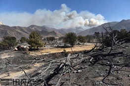 آتش از ابتدای ‌سال، ٦٥ بار به جان مناطق حفاظت‌شده افتاده/عاملان آتش‌سوزی جنگل‌ها ٢ تا ٥‌سال زندانی می‌‌شوند