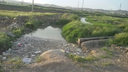 هشدار محیط زیست از آبیاری مزارع جنوب تهران با فاضلاب