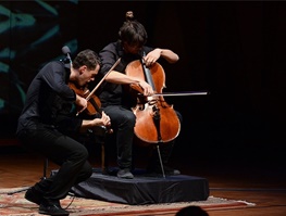 کنسرت دو نوازنده اتریشی در کاخ سعدآباد