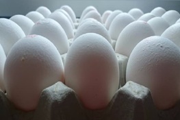 مهندسی ژنتیک مرغها برای تخم‌مرغ‌های مبارز با سرطان!