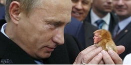 روس‌ها دیگر ترامپ را نمی‌خواهند