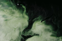 تصاویر ماهواره‌ای از یخ‌های سبز در قطب جنوب