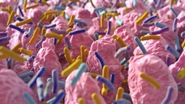 بشر تاکنون فقط یک درصد میکروب‌های بدن خود را کشف کرده است!/۹۹ درصد ناشناخته