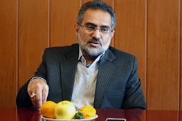 حسینی: «دولتِ سایه» جلیلی به نمایندگی از اصولگرایان نیست