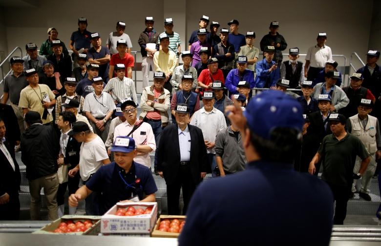 افتتاح بازار ماهی تویوسو ژاپن