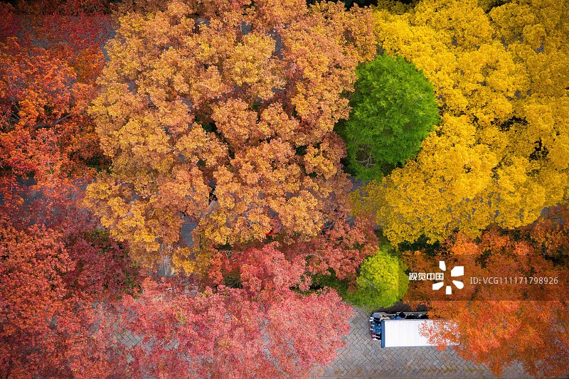 فصل پاییز در استان جیانگسو چین