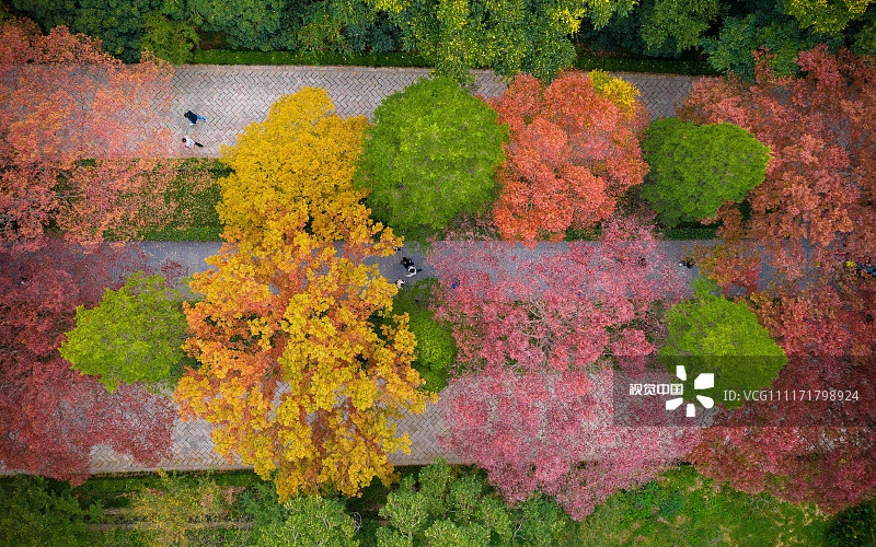 فصل پاییز در استان جیانگسو چین